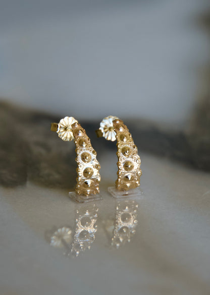 Sea Urchin Oceandrop Earrings - Small - 14k