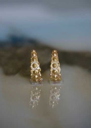 Sea Urchin Oceandrop Earrings - Small - 14k