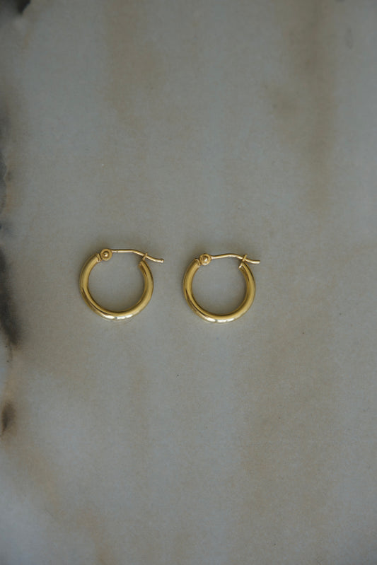 Hoop Earrings