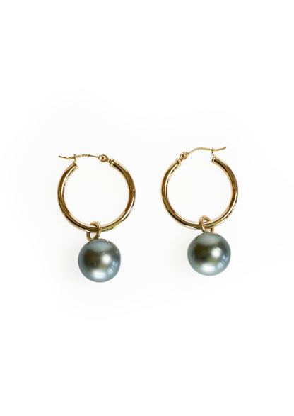 Tahitian Pearl Hoop Earrings (medium) 14k