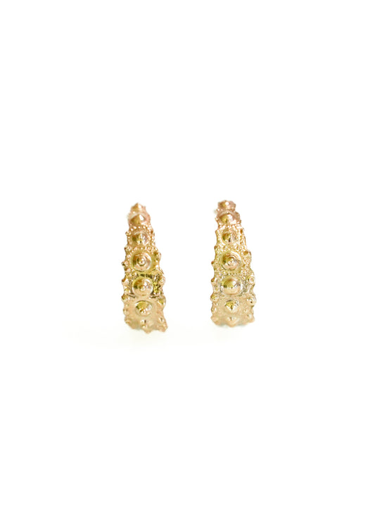 Sea Urchin Oceandrop Earrings - Small - 14k