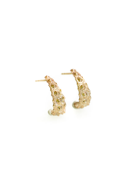 Sea Urchin Oceandrop Earrings - Small - 14k