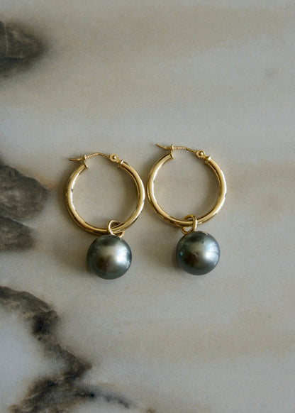Tahitian Pearl Hoop Earrings (medium) 14k