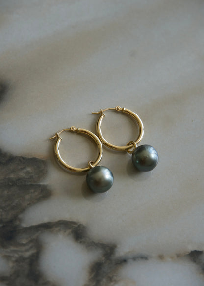 Tahitian Pearl Hoop Earrings (medium) 14k