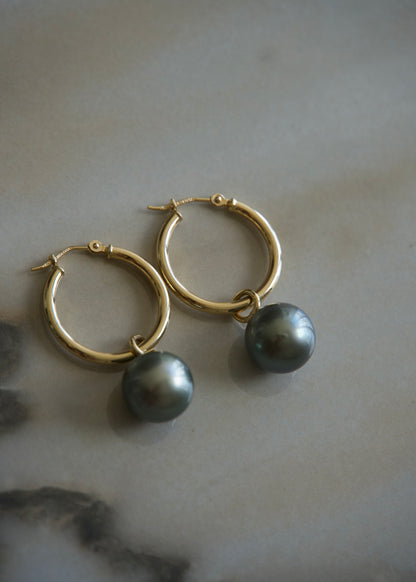 Tahitian Pearl Hoop Earrings (medium) 14k