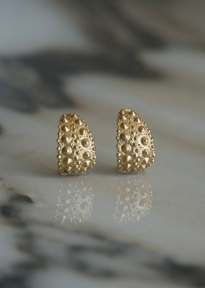 Sea Urchin Oceandrop Earrings